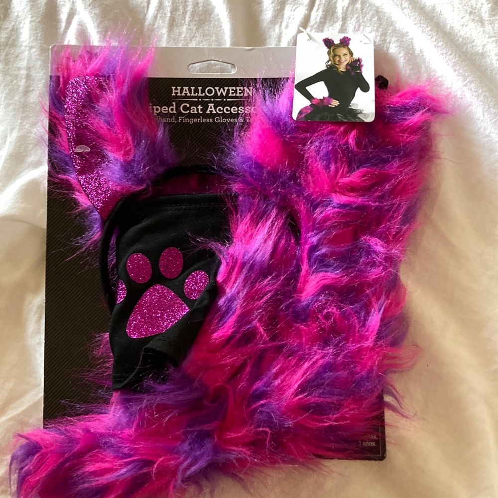 Striped cat accessory kit